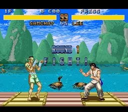 Fighter's History cover art