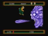 SPLATTERHOUSE 2 cover art